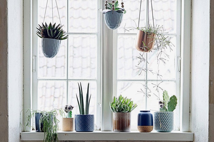 Various planters in a window.